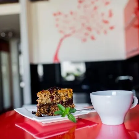 In The Center -easy Access From The Airport Cracovia